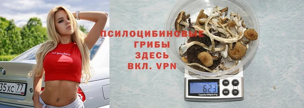 тгк Кодинск