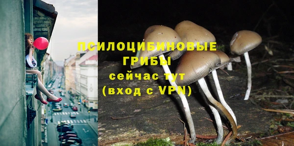 MESCALINE Козельск